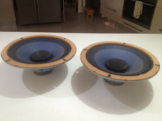 Vintage Plessey 10 Inch Full Range Speakers